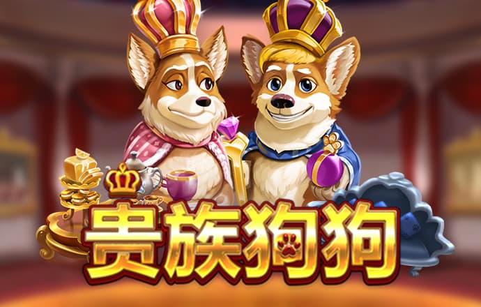 开云手机登录